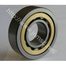 Spare Parts, Rooling Bearing, Cylindrical Roller Bearing (RNU217M)